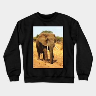 ELEPHANT WALK Crewneck Sweatshirt